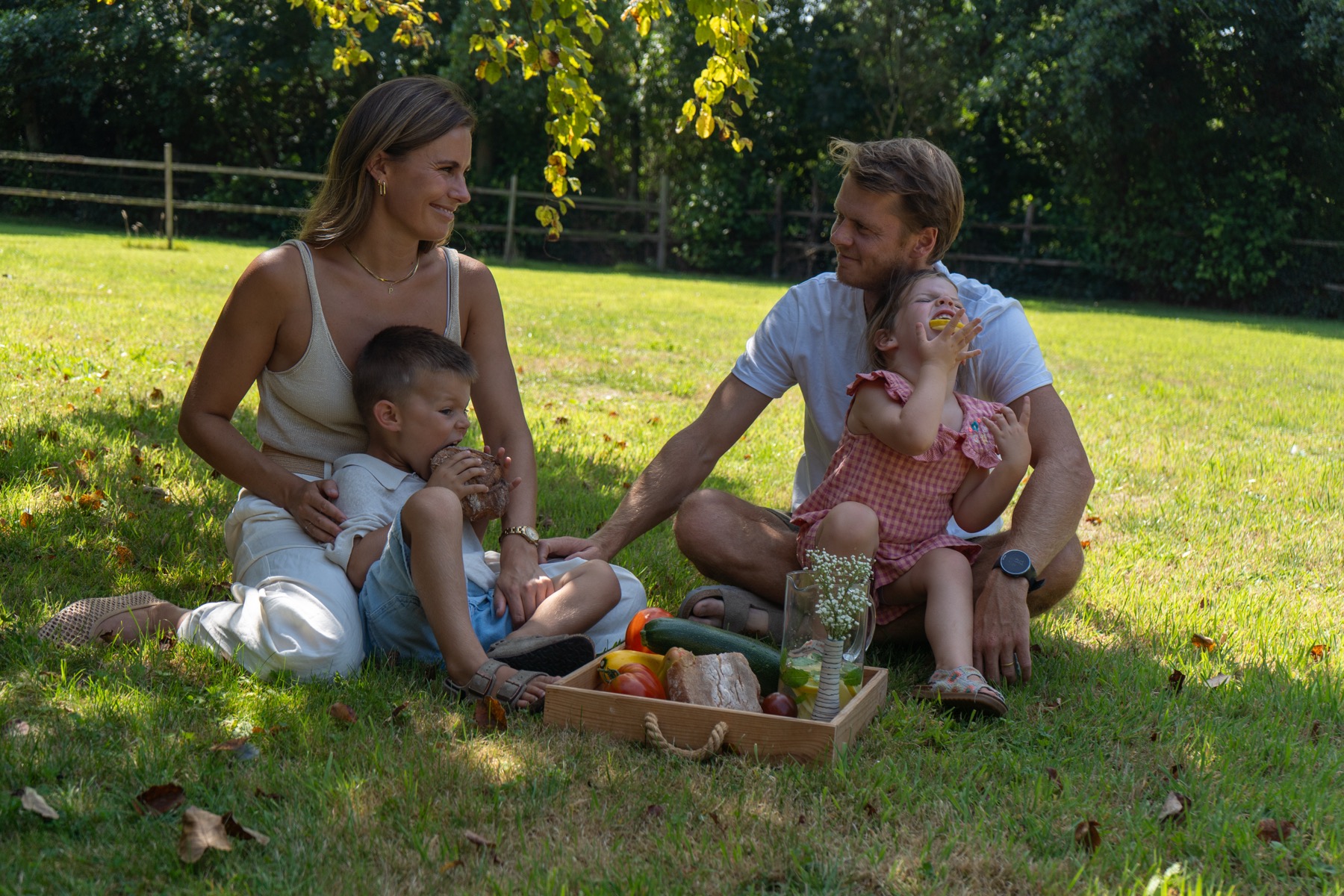 Gezin bij een picknick in het gras